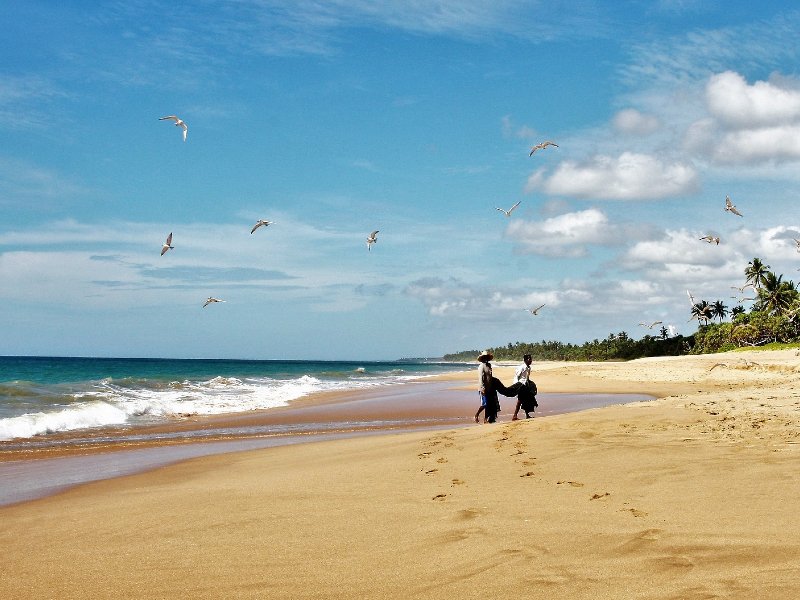 Plages sauvages au Sri Lanka